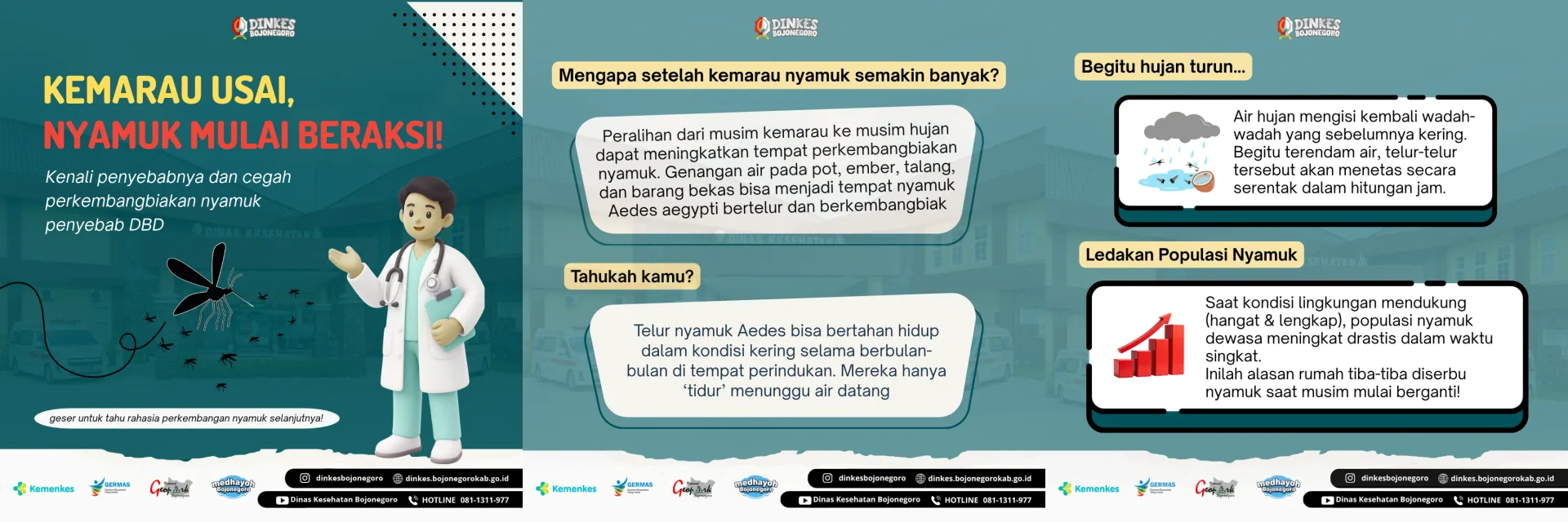 🦟 KEMARAU USAI, NYAMUK MULAI BERAKSI! WASPADA DBD