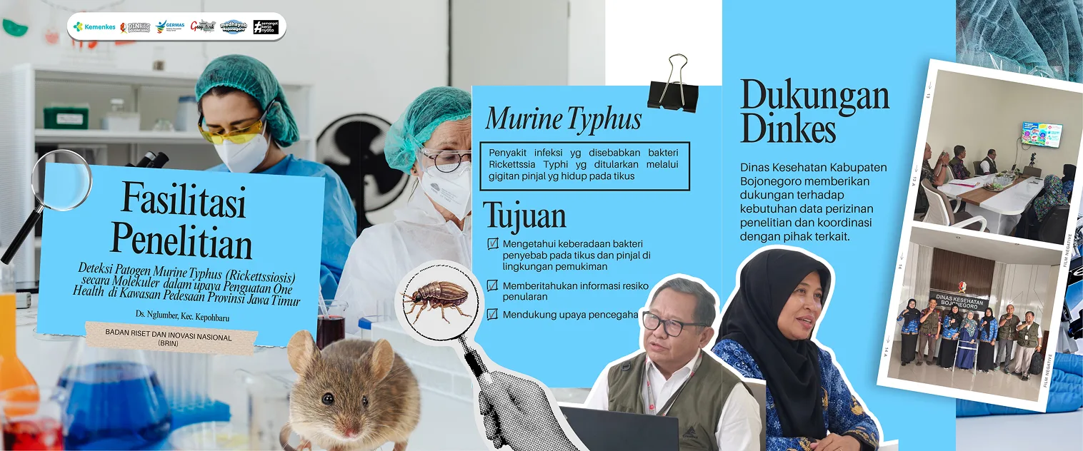Dinkes Bojonegoro Mendukung Penelitian Deteksi Patogen Murine Typhus (Rickettsiosis) secara Molekuler di  Ds. Nglumber, Kec. Kepohbaru Oleh tim peneliti Badan Riset dan Inovasi Nasional (BRIN)