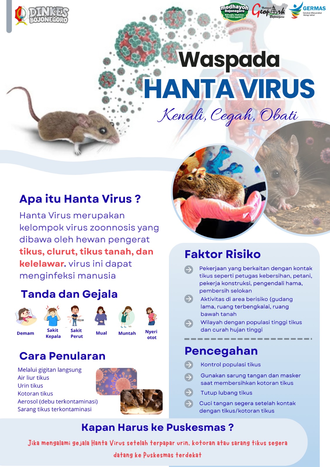 ⚠️ Waspada Hanta Virus, Kenali, Cegah, Obati ⚠️