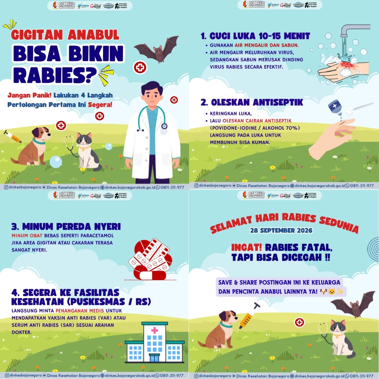 Gigitan Anabul, Bisa Bikin Rabies??